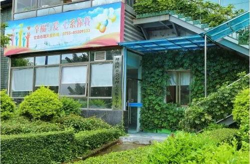 坪山新闻网电视爆料电话,倾听民声，守护公平正义  第3张